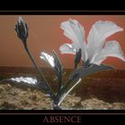 Theme of absence