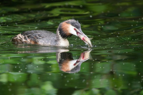 Thementag-Dienstag ist Spiegeltag