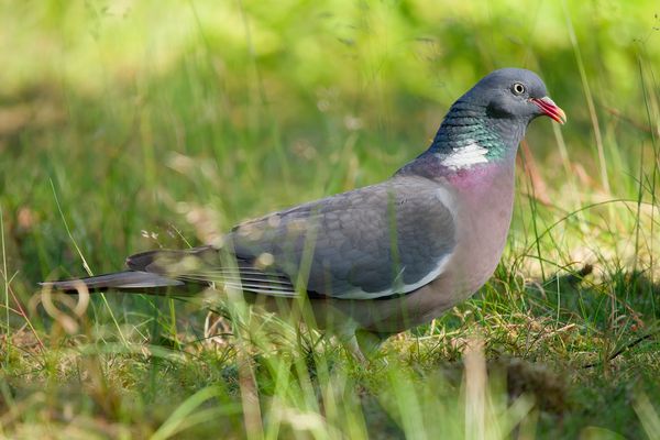 Thementag-Donnerstag mit Durchblick