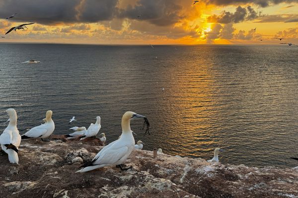 Thementag-Sonntag mit Sonne