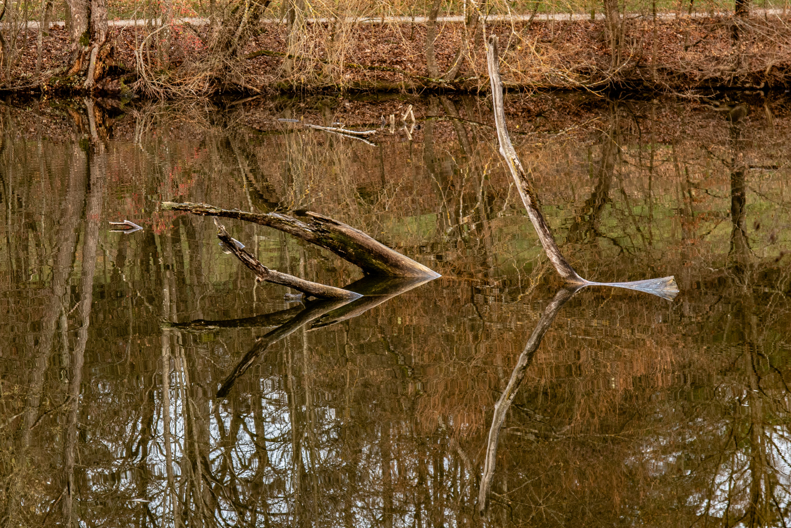 Thementag   Spiegelung