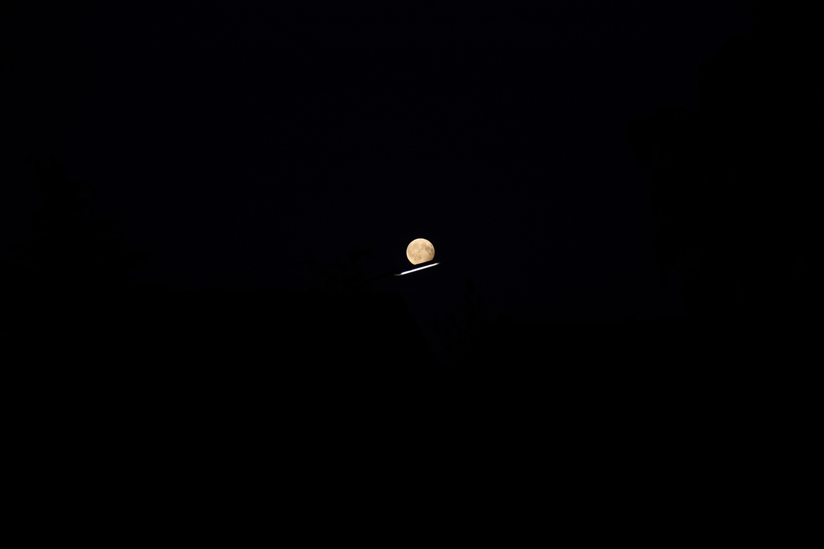 The_Moon