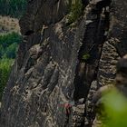 then we climb the mountain Lilienstein...