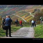 Foto-WE im Weinberg