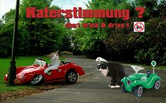 Theos und Yoshis Abenteuer ... im Straßenverkehr