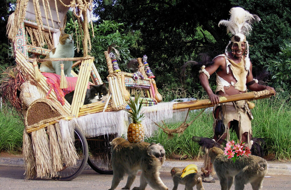 Theos und Yoshis Abenteuer ... in Afrika