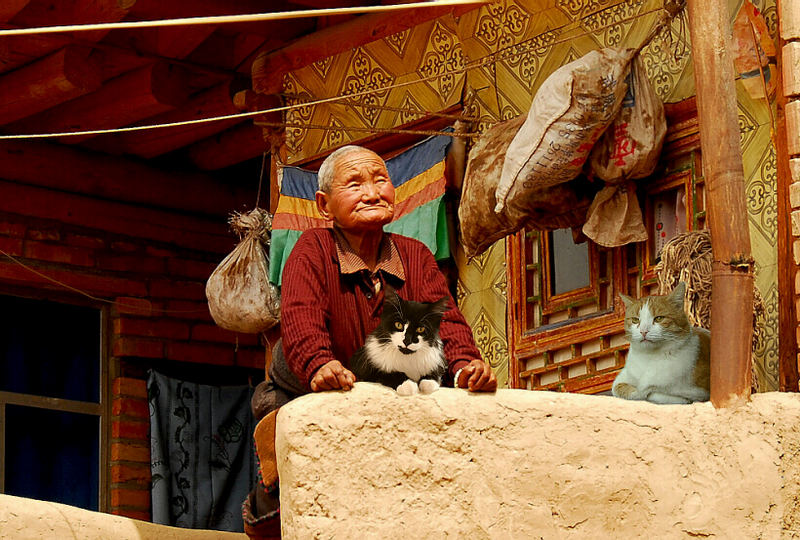 Theos und Yoshis Abenteuer ... in Tibet (2)