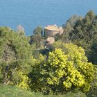 Théoule : la villa de Pierre Cardin entre les pins maritimes, les mimosas et la mer Méditerranée