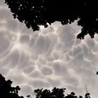 There are clouds in my coffee