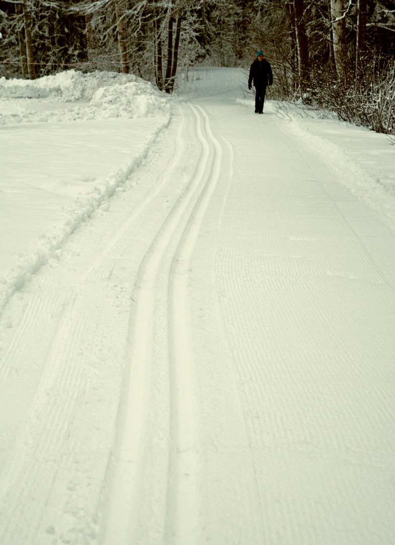 There is a trail waiting for the skier