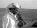 There is life here. I don`t know the language of the desert, but my falcon does. von Joshi Feno
