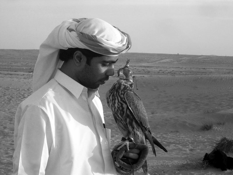 There is life here. I don`t know the language of the desert, but my falcon does. von Joshi Feno