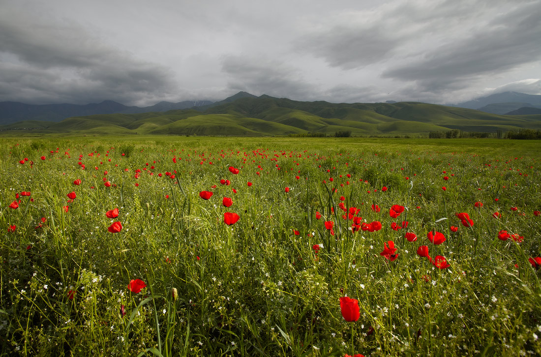 There Is No Bad Weather For Good Landscape