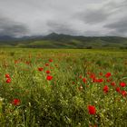 There Is No Bad Weather For Good Landscape