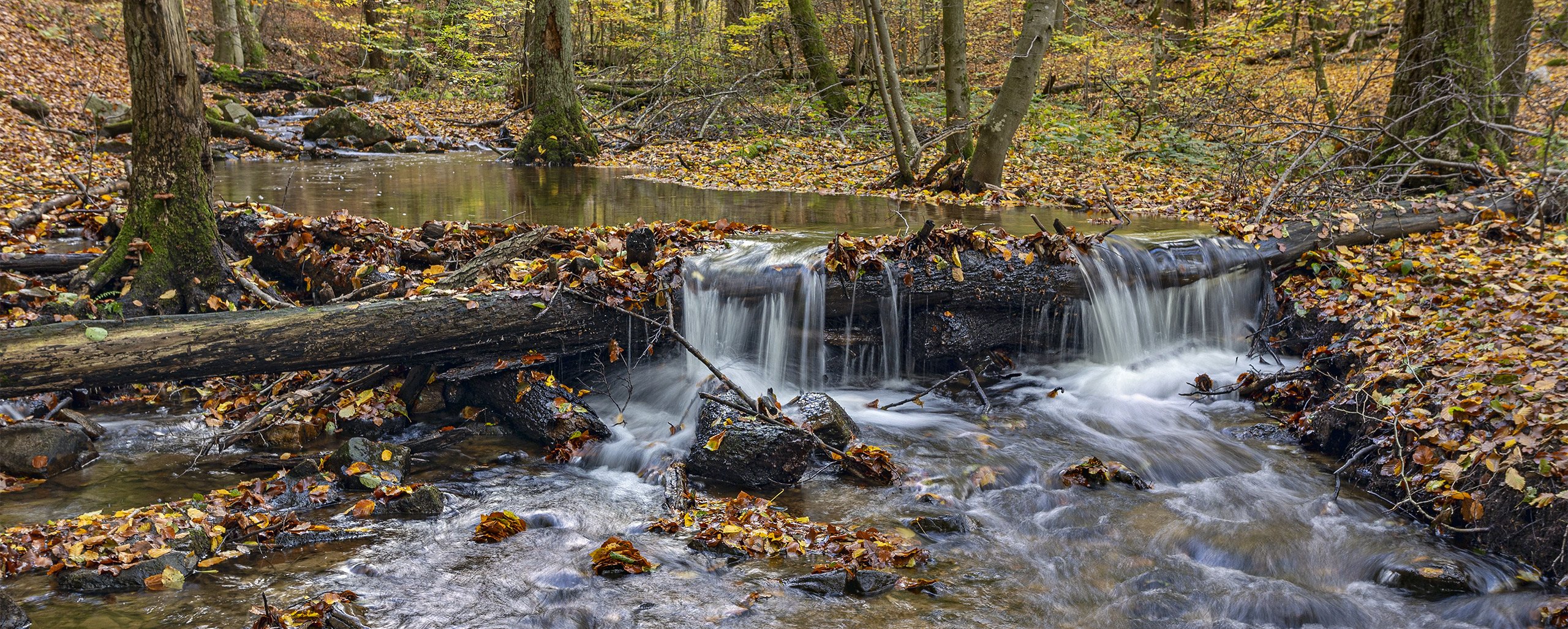 There is nothing that can resist running water