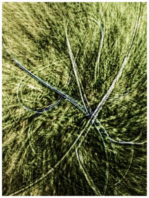 There Is Still A Pattern In The Chaos