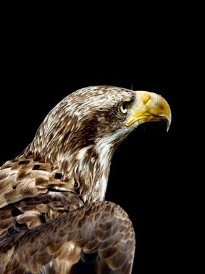 There's something going on P7051342