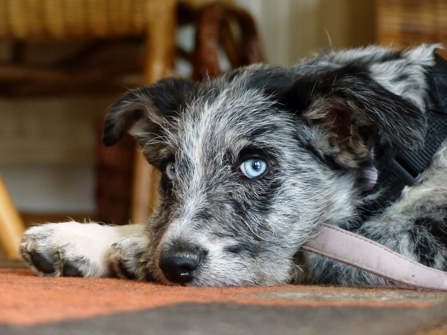 Theresa unsere kleine Spanierin meiner Tochter