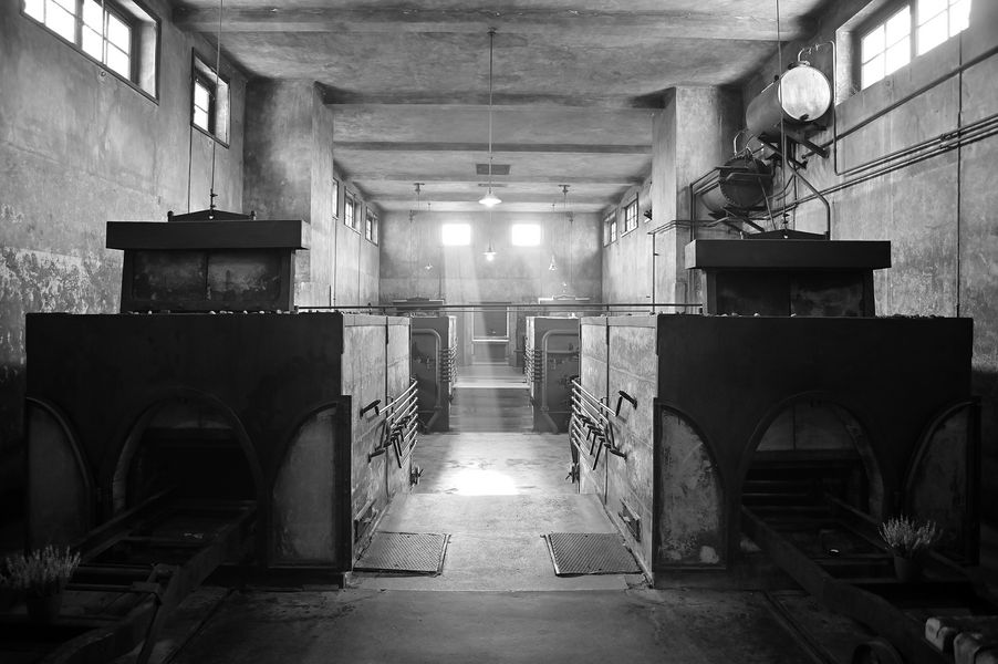 Theresienstadt (14)