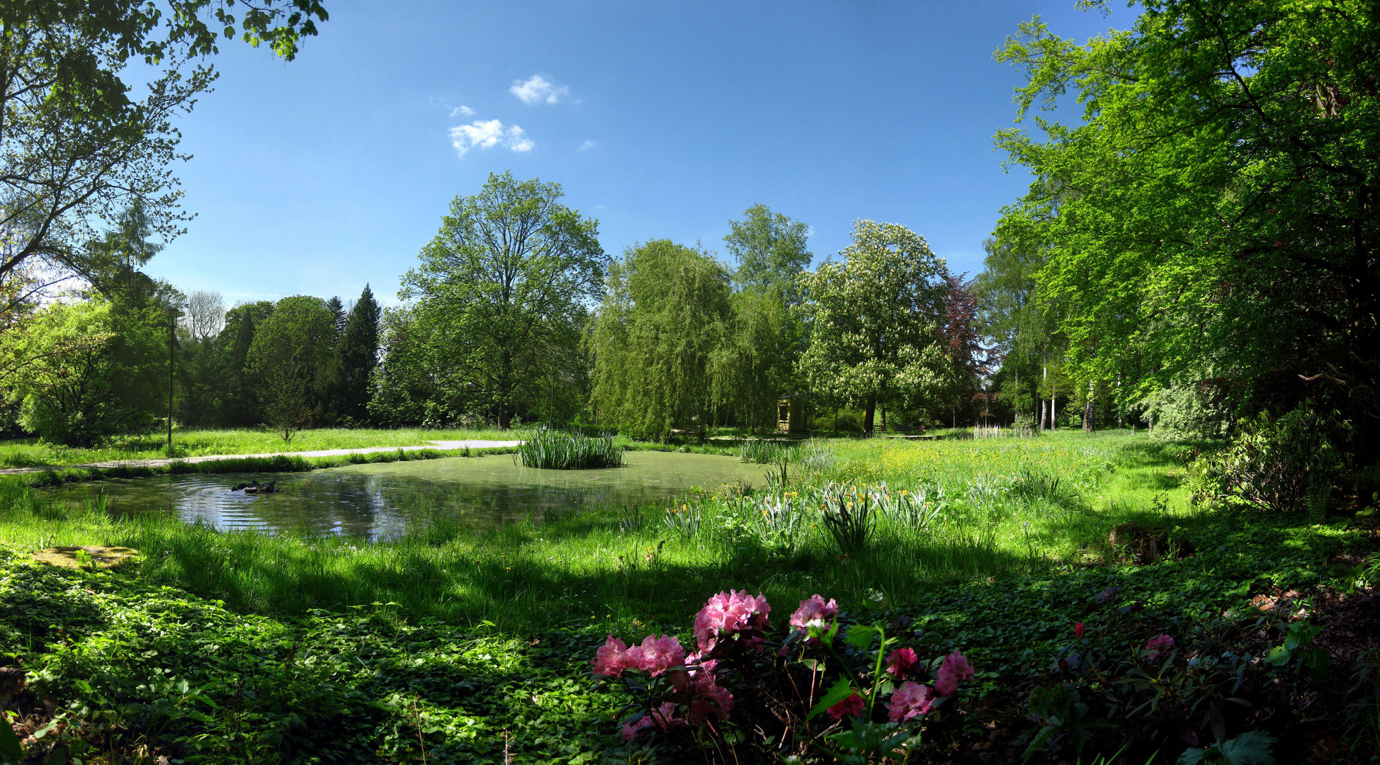 Theresienstein Hof