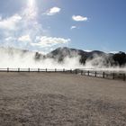 Thermal park - Nähe Rotorua