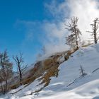 Thermal Pools