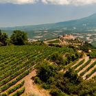 Thermal Spa & Winery - Castello di Velona Resort
