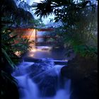 Thermal waters of Tabacon, Costa Rica