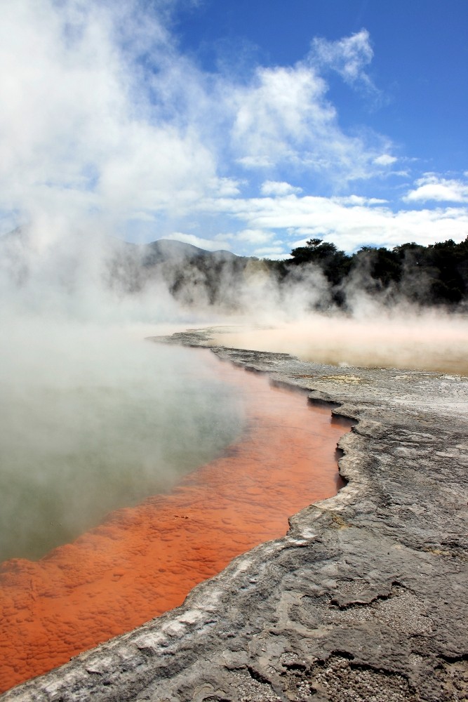 Thermal Wonderland (New Zealand)