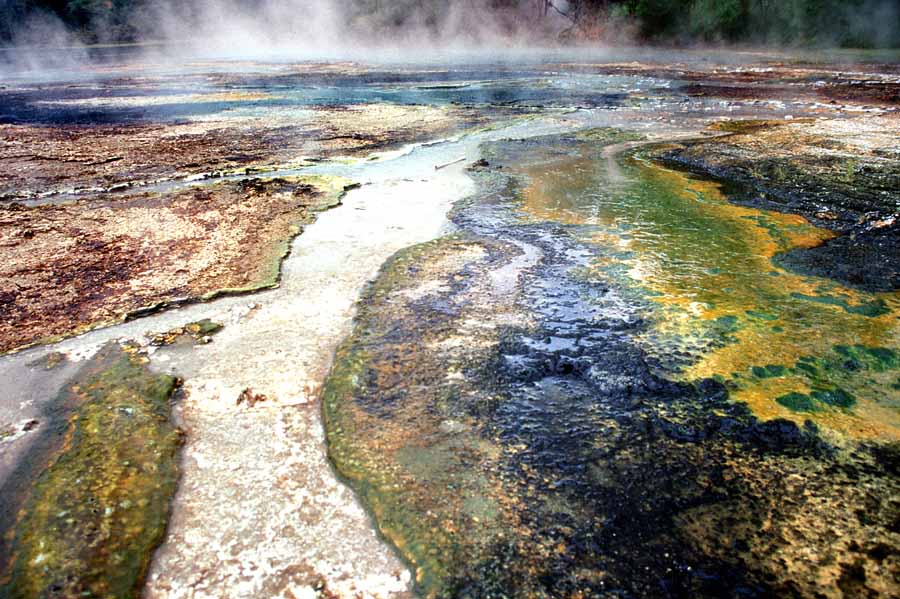 Thermalgebiet auf der Nordinsel