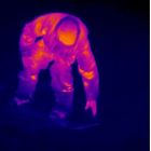 Thermographic of a snowboarder