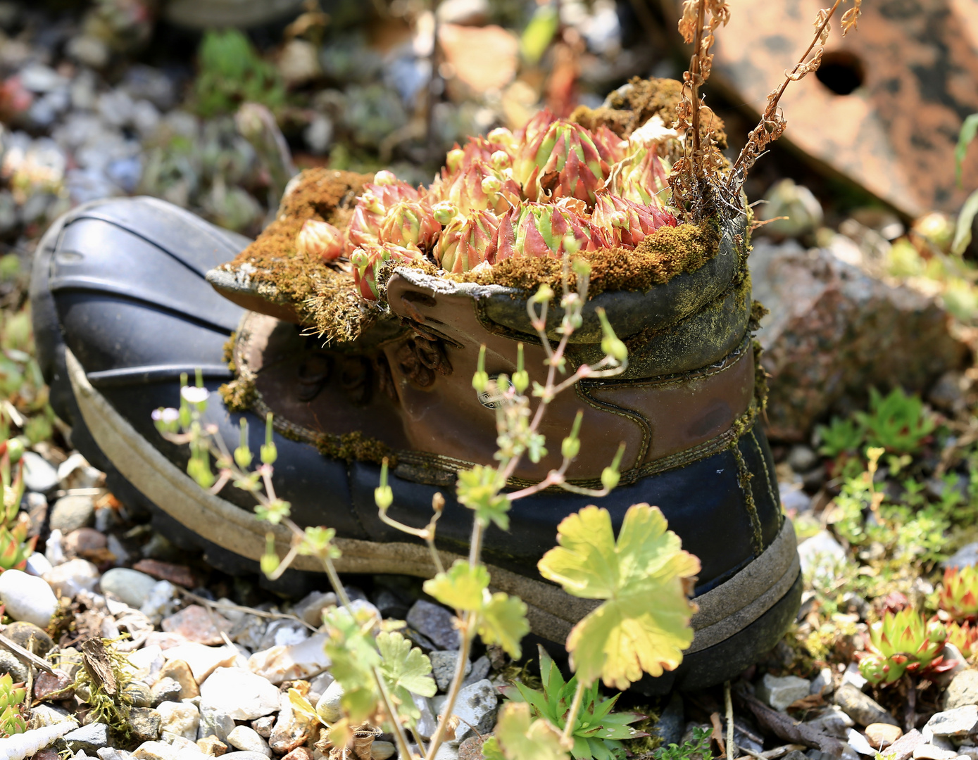 These boots are made for walking…