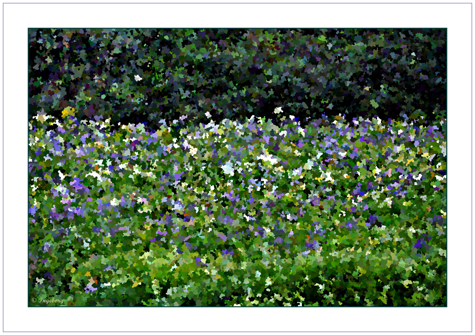 ~ These Cornish Flowers~