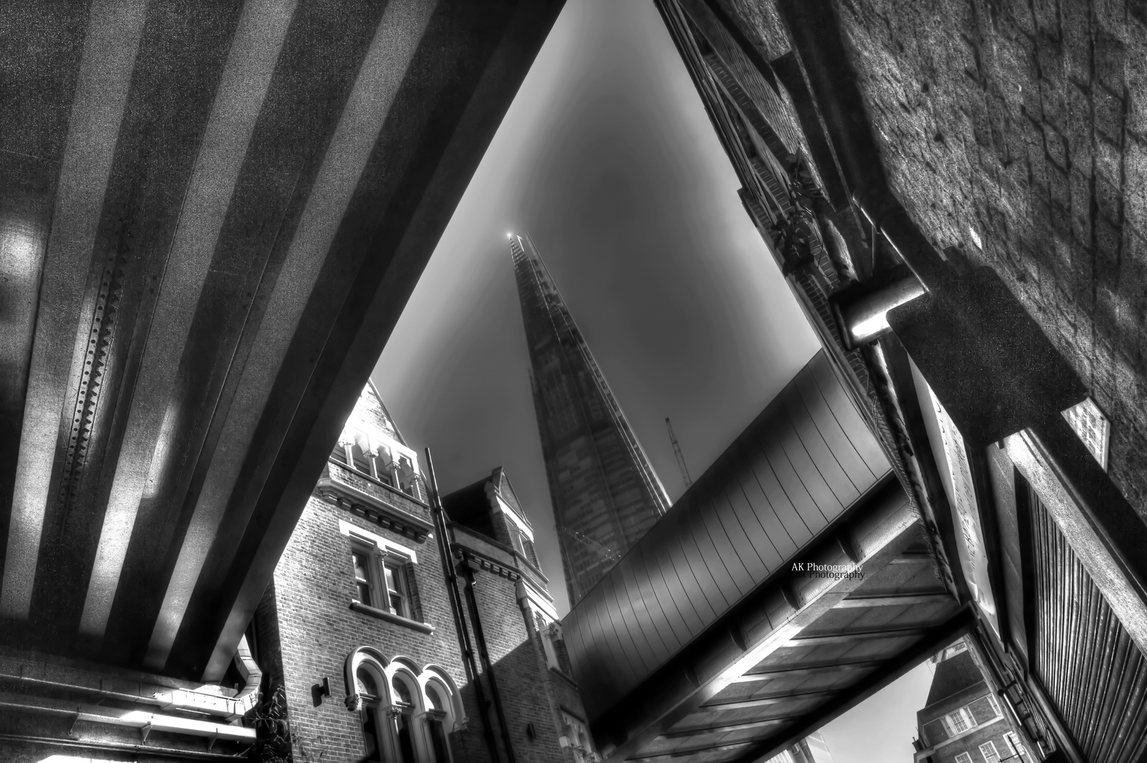 THESHARD2bw