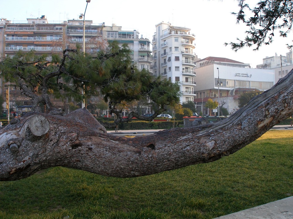 Thessaloniki - Macedonia - Greece