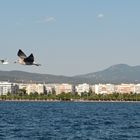 Thessaloniki von der See betrachtet