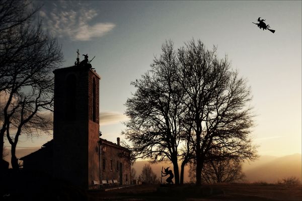 They are coming..... - 6