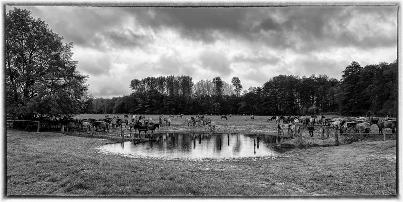 They Are Completely At Ease With Themselves