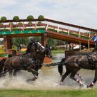 Thibault Coudry, Frankreich