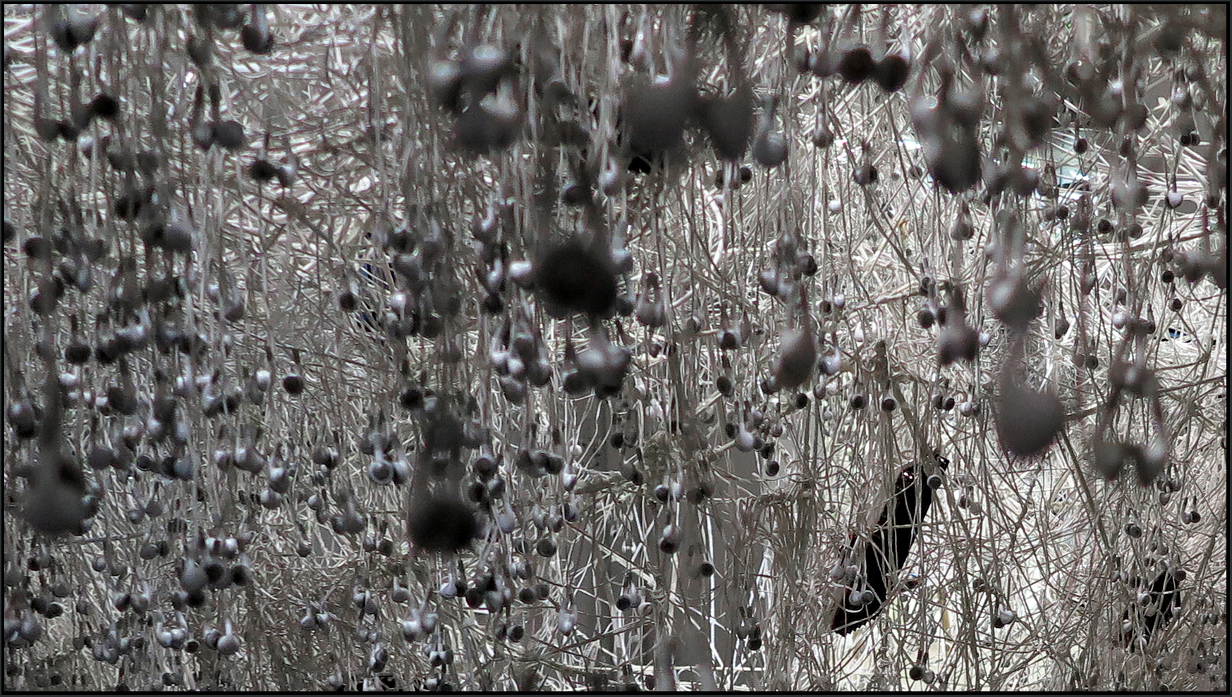 "Thicket" (Ausschnitt) - Centre Pompidou - Paris