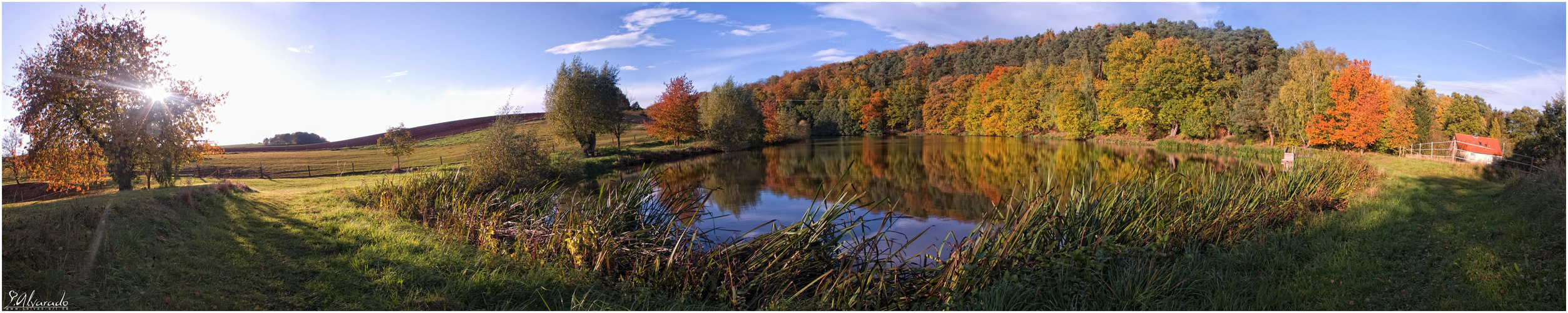 Thieleteich