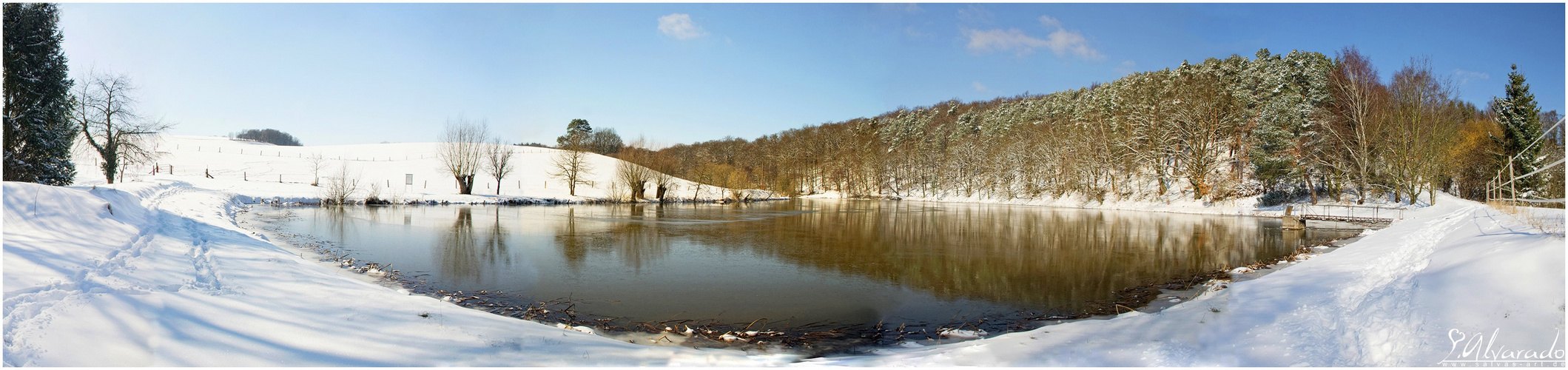 Thieleteich Winter