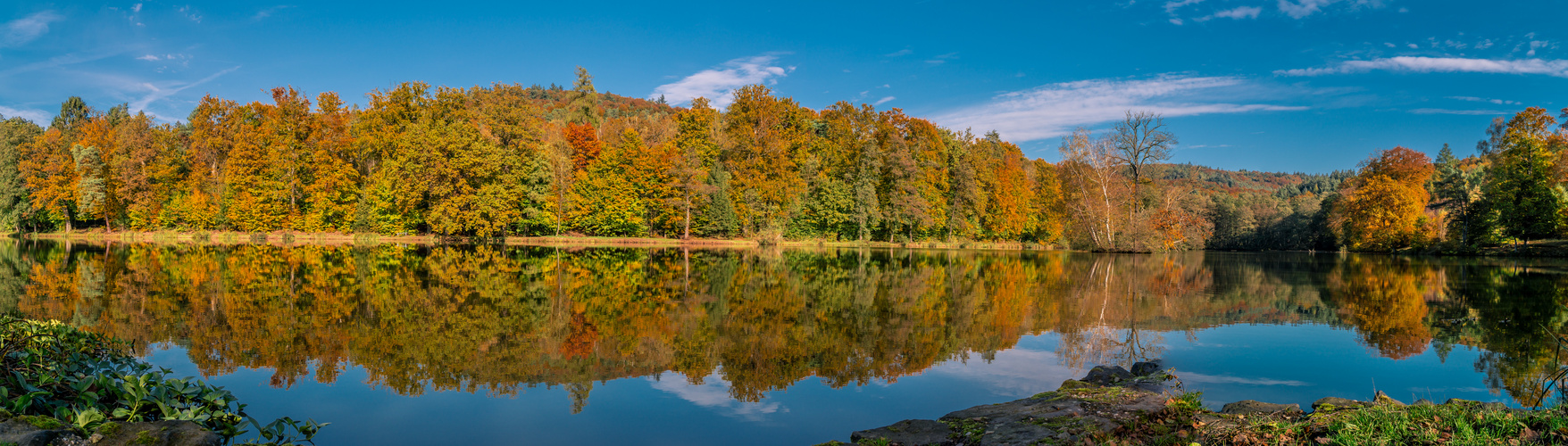 Thiergartenweiher bei Büdingen