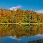 Thiergartenweiher bei Büdingen