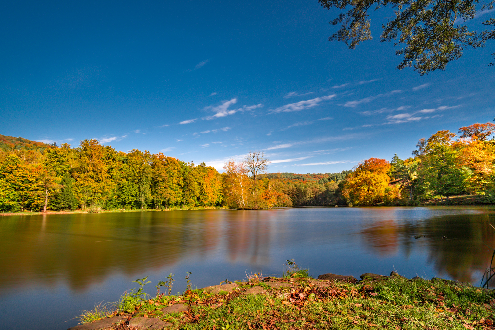 Thiergartenweiher bei Büdingen