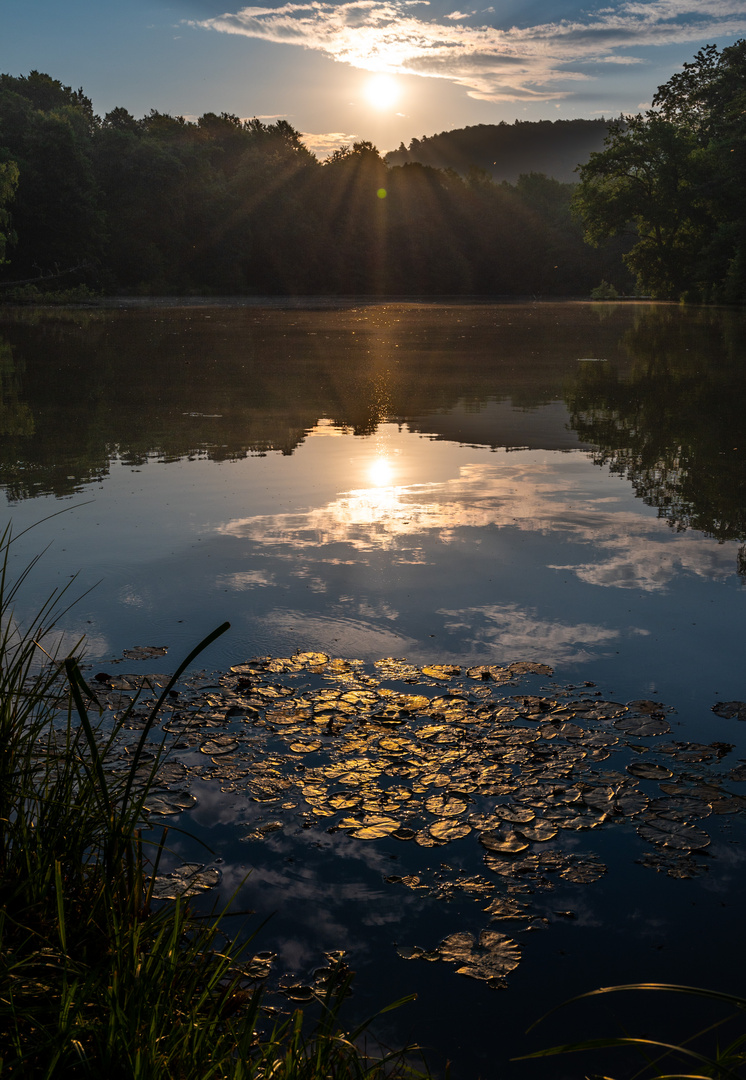 Thiergartenweiher