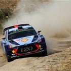 Thierry Neuville - Hyundai i20 WRC - Rally Sardegna Italy