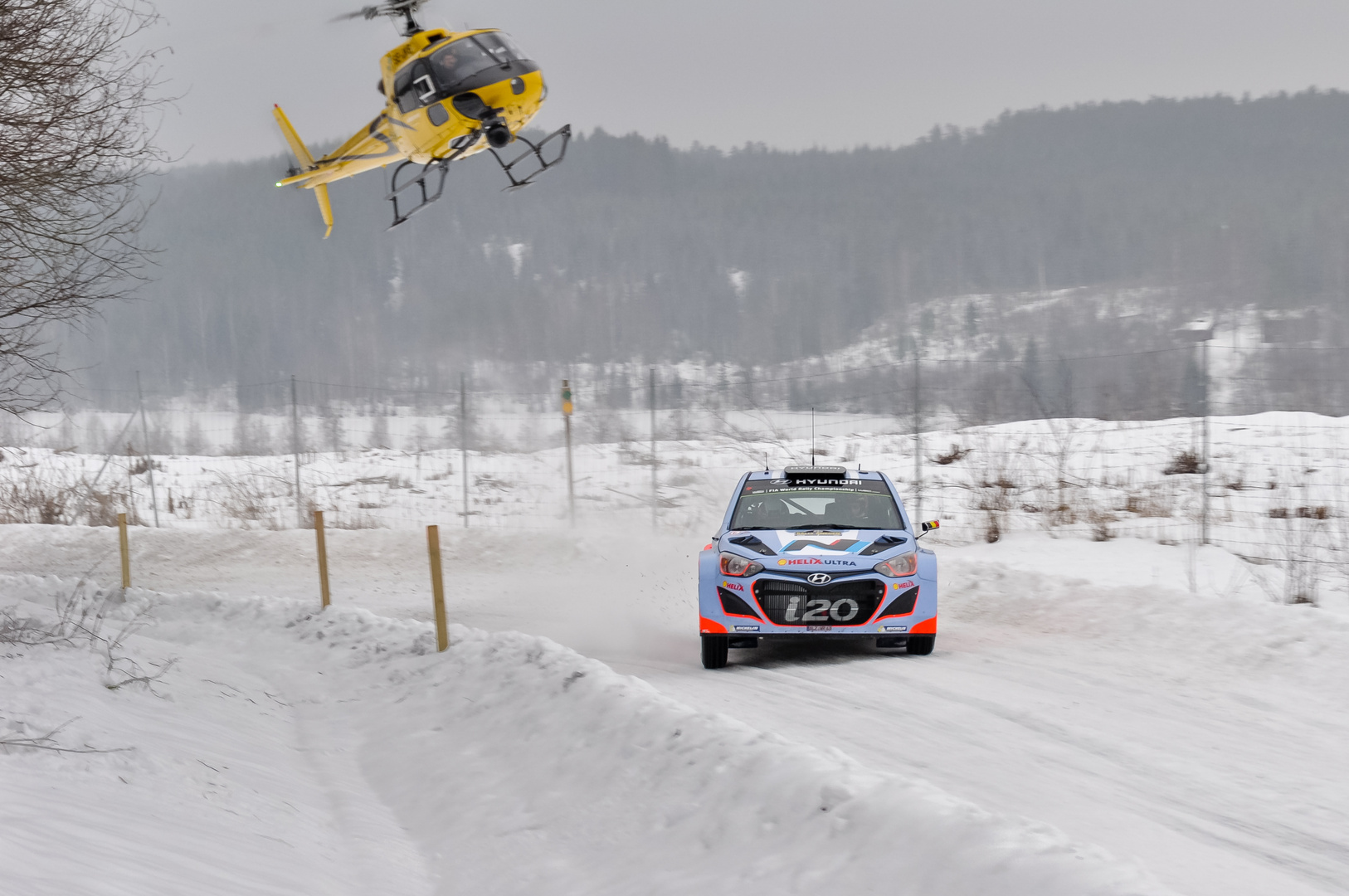 Thierry Neuville Schweden Rally 2014