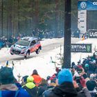 Thierry Neuville Schweden Rally 2014