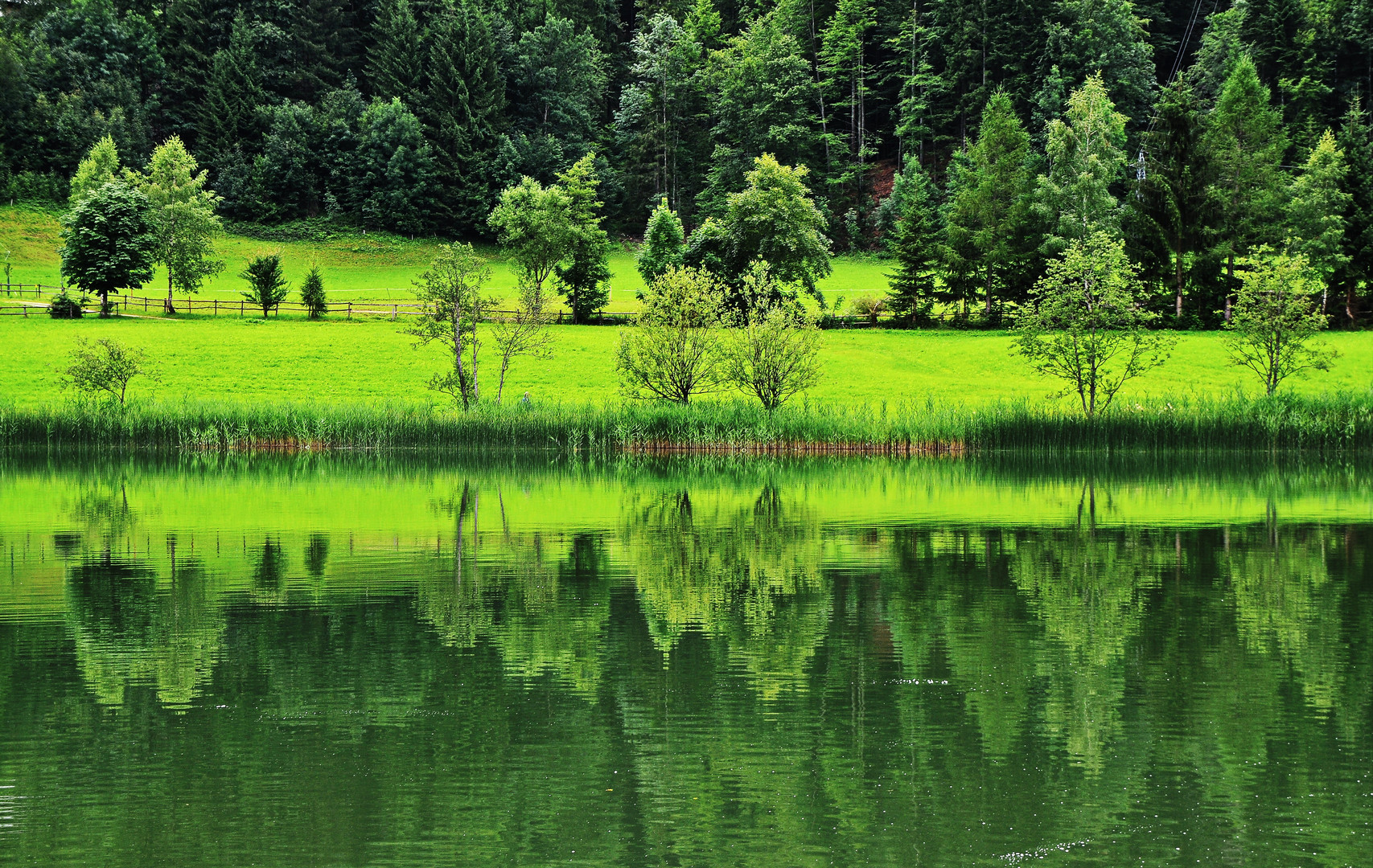 Thiersee